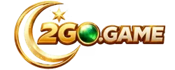 2go-game.com.pk
